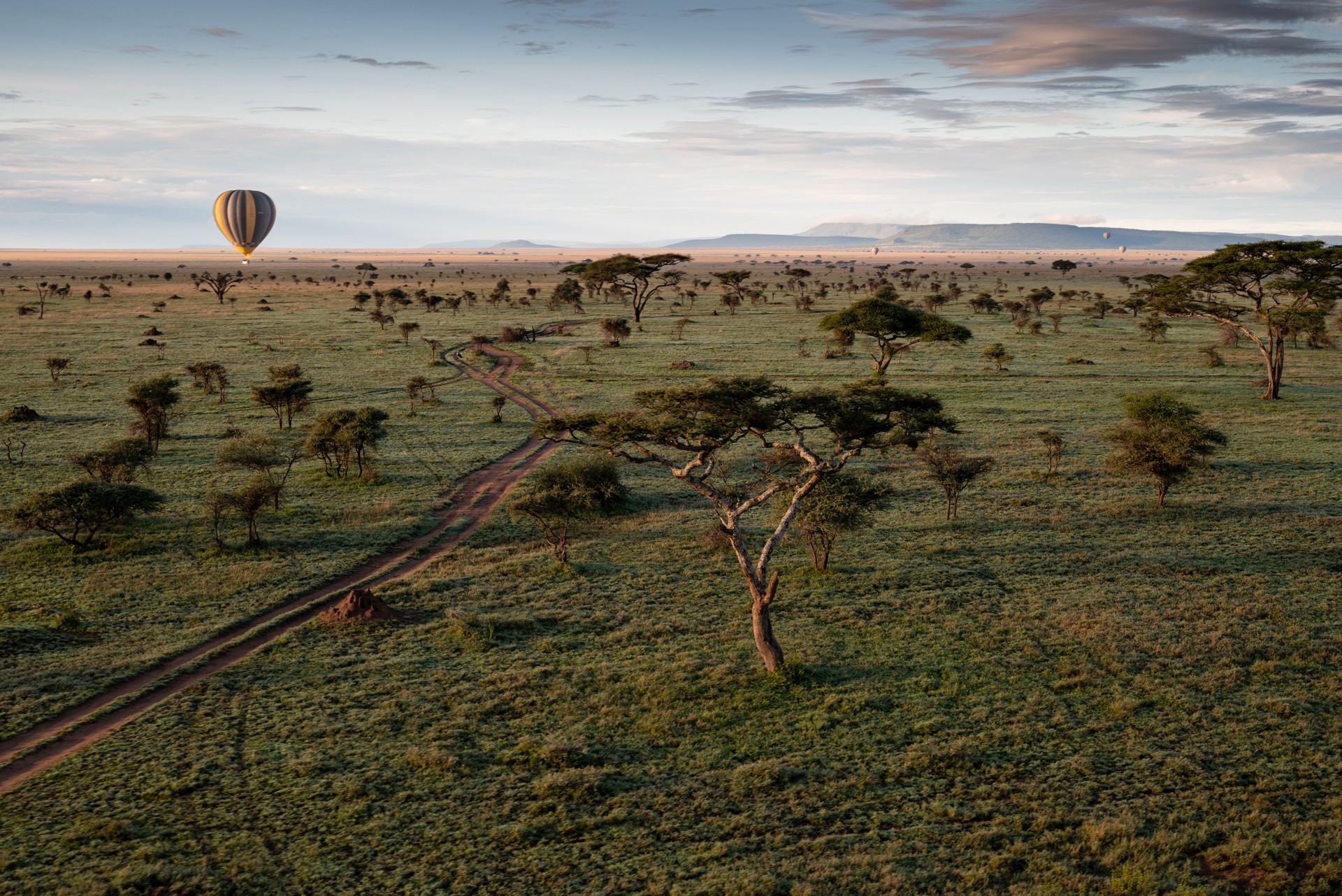 Hot air balloon ride Africa Tanzania Serengeti Park