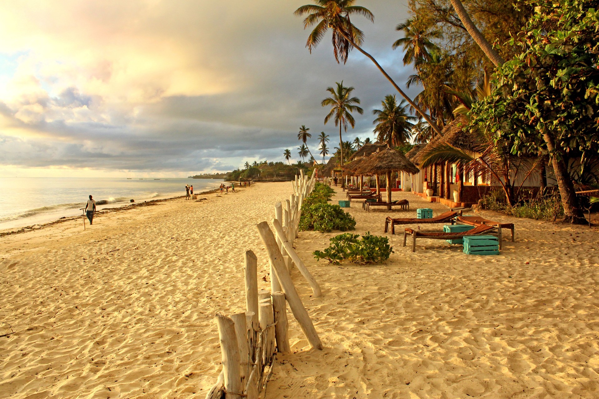 Tropical exotic beach on sunny morning in Zanzibar